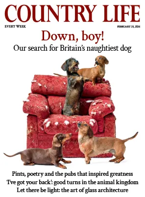 Country-Life-UK-February-25-2026