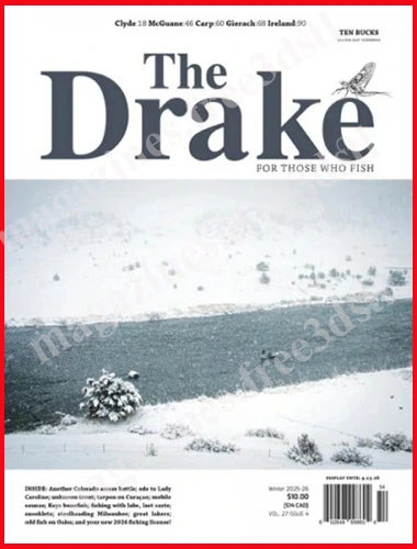 The Drake