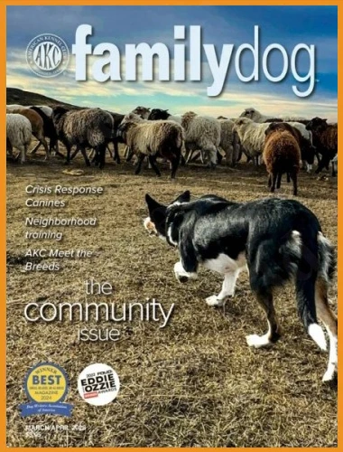 AKC Family Dog – MarchApril 2026