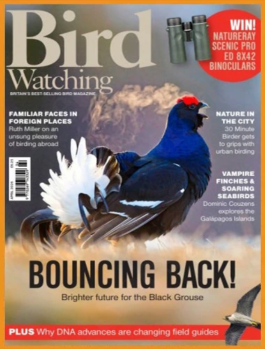 Bird Watching UK – April 2026