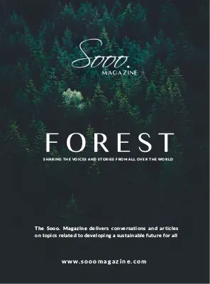 Sooo. Magazine – Forest, Winter 2026