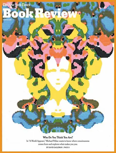 The New York Times Book Review