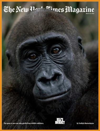 The New York Times Magazine – March 15, 2026